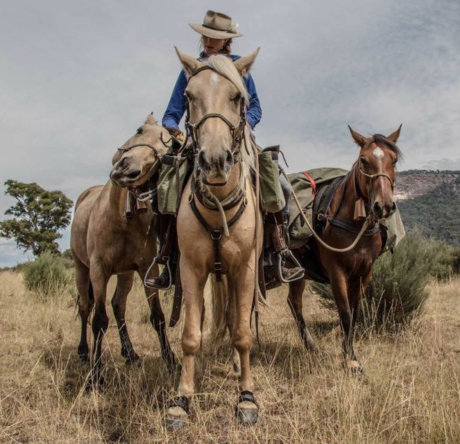 Wild At Heart Australia